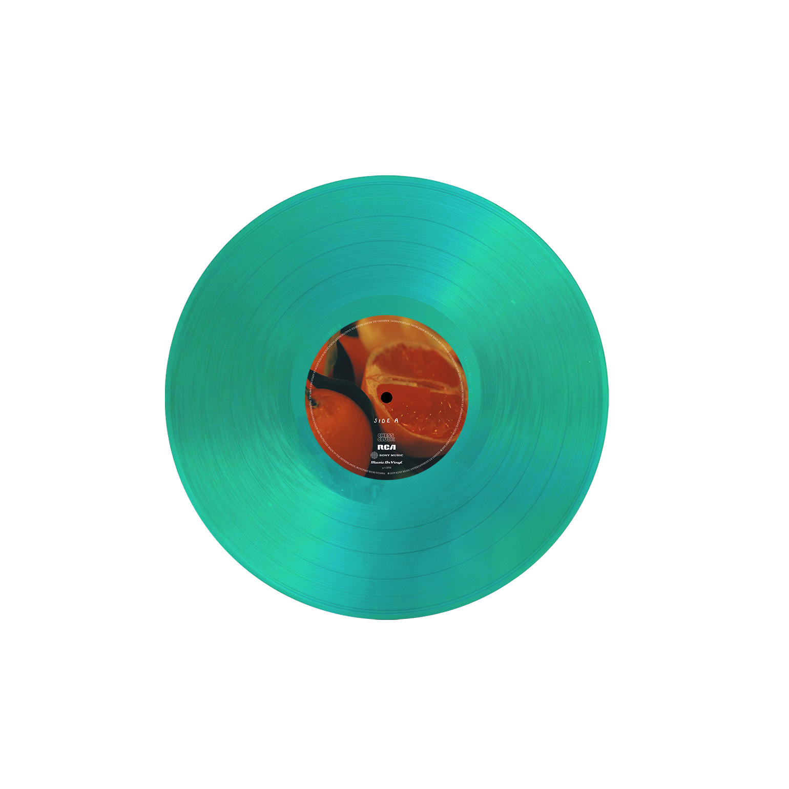 Feeding Seahorses by Hand Vinyl LP