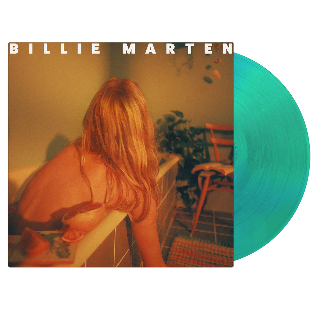 Feeding Seahorses by Hand Vinyl LP