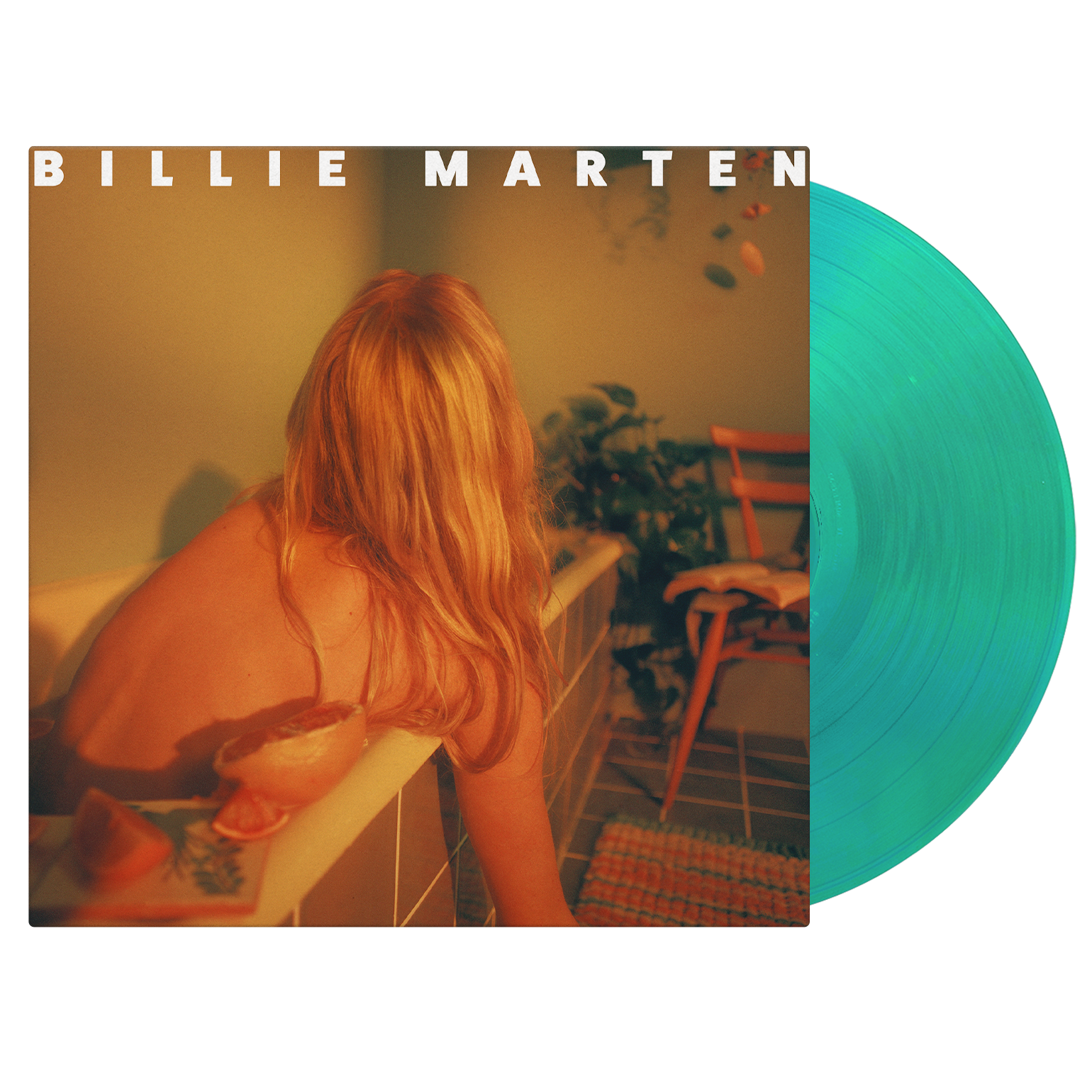 Feeding Seahorses by Hand Vinyl LP
