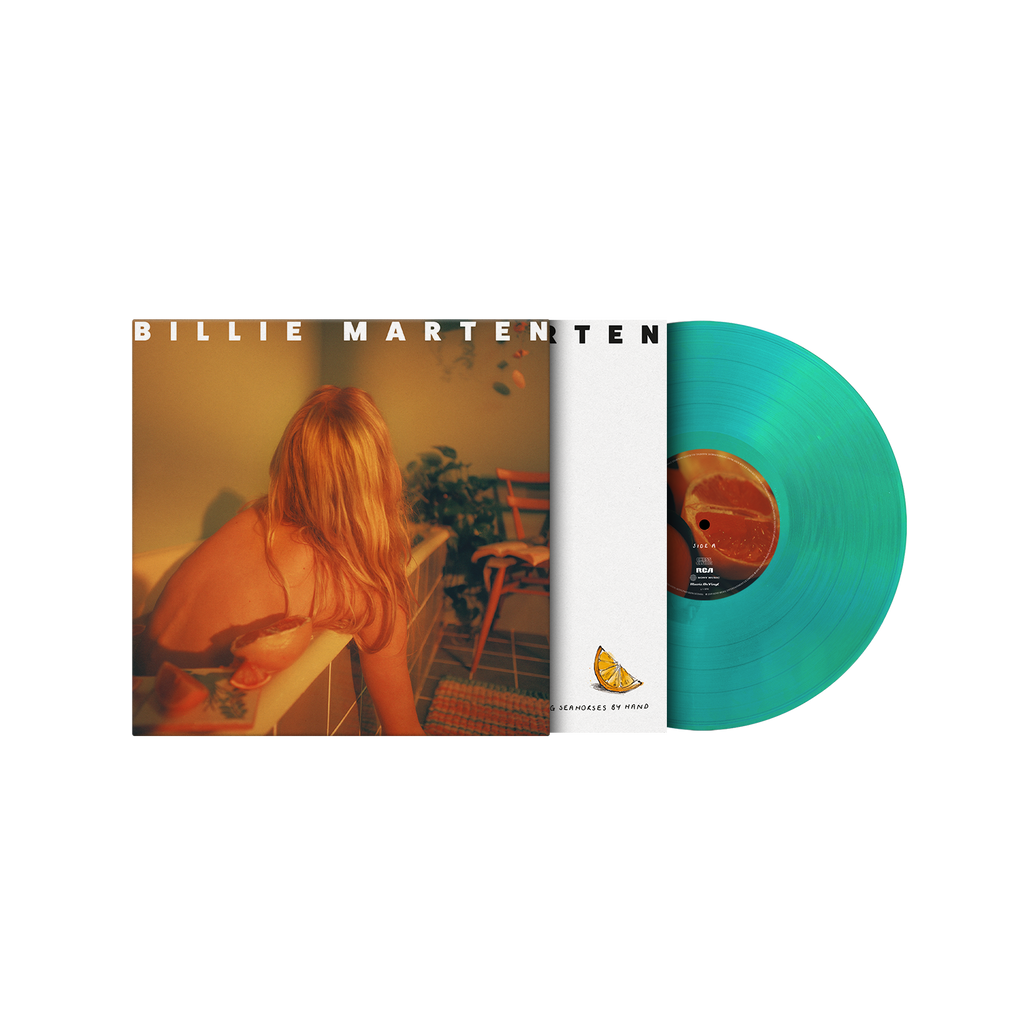 Feeding Seahorses by Hand Vinyl LP